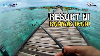 Banyak Ikan kat Resort Ni  Resort Paling Best di Semporna  Sambil Bercuti Sambil Memancing [upl. by Lydia410]