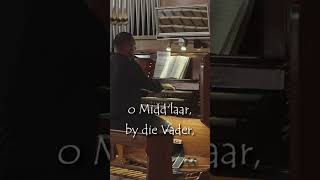 40 Liedere vir 40 dae  DAG 30 lydenstyd organist music [upl. by Drwde]