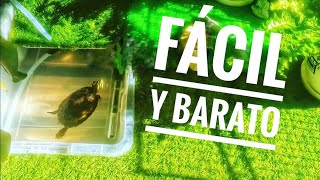 🐢 Cómo hacer ACUARIO para TORTUGAS casero 🐢 [upl. by Anrol]