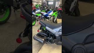 New 2024 Honda Navi For Sale Greenville SC [upl. by Mariellen]