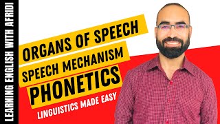 The Organs of Speech in Phonetics A Detailed Guide [upl. by Ativoj]