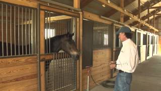 Brads Horse barn [upl. by Mariejeanne]