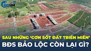 Sau những ‘CƠN SỐT ĐẤT TRIỀN MIÊN’ Bất động sản Bảo Lộc còn lại gì  CafeLand [upl. by Enaek]