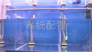 伊米亞水族設計簡型系統缸systematizefishtank [upl. by Senilec]