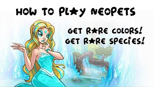 Painting and Transforming Pets How to Play Neopets [upl. by Aniuqal180]