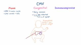 CMV Clinical Syndromes  Mono Congenital Infection Immunocompromised Hosts [upl. by Sidonnie783]