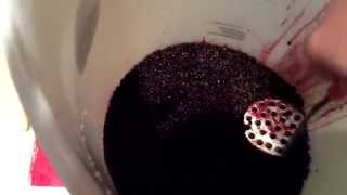 Making Elderberry Wine Part 1 Primary Fermentation [upl. by Vikky631]