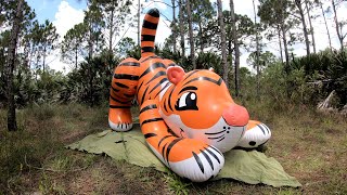 Massive 7FootLong Pouncing Tiger Ride on Pool Toy from SqueakCo [upl. by Rozele295]