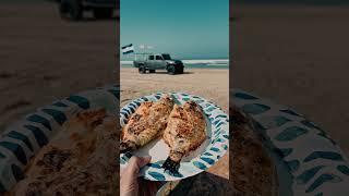 Surf Fishing in Pismo Beach CA boondocking camping fishing [upl. by Arednaxela]