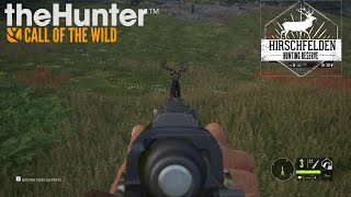 Hirschfelden Corzo y Ciervo Común  TheHunter Call of the Wild [upl. by Eahsan150]