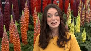 2019 RHS Chelsea Flower Show Tuesday 1 [upl. by Hterag]