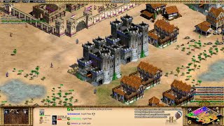 Aoe2 HD Fortress Mass Teutonic Knights An Unstoppable Army [upl. by Adnov956]