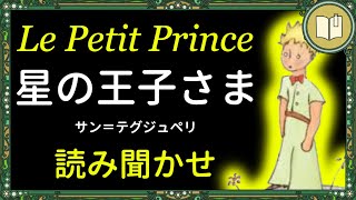 【眠くなる声】読み聞かせ『星の王子さま』全編 【睡眠導入】 [upl. by Madel]