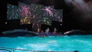 Dolfinarium  AquaBella finale HD  14 juli 2013 [upl. by Naz653]