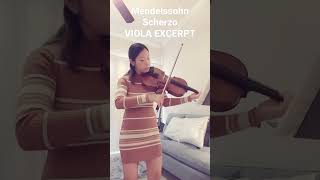 Mendelssohn Scherzo from Midsummer Nights Dream  Viola Orchestra Excerpt [upl. by Leasim]