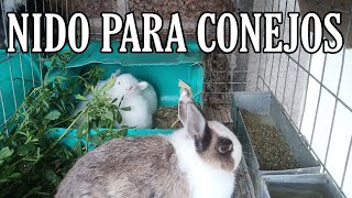 Como hacer un nido para conejos económico y funcional 🐇 [upl. by Akinehs]