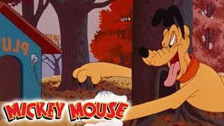 Micky Maus Kicherkracher  Kurzfilm Kampf um jede Nuss  Disney Channel [upl. by Nnayrb19]