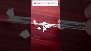 Charging by Induction and Friction physics [upl. by Ellehciram]