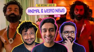 The Internet Said So  EP 197  Animal Review and Hilarious News Stories [upl. by Harvard]