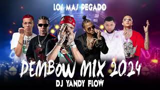 DEMBOW MIX 2024 VOL 12 DJYANDYFLOW ❌GOOATKING [upl. by Aric]