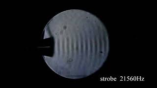 Schlieren imaging Part3  Viewing continuous sound waves [upl. by Rosemonde968]