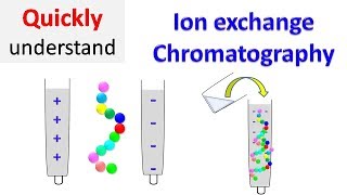 Ion exchange chromatography [upl. by Spillihp]