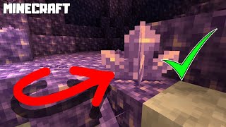 MINECRAFT  How to Grow Amethyst Cluster 117 [upl. by Aloin123]