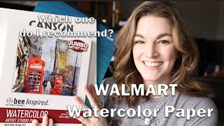 Testing WALMART Watercolor Papers Bee Paper  Grumbacher  Canson Graduate [upl. by Aruam399]