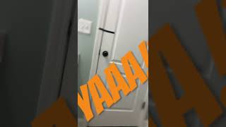 funny memes comedy vines scream tap on me👈 [upl. by Pauletta664]