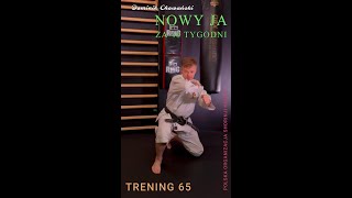 065  Kurs quotNowy ja za 40 tygodniquot Shorinji Kempo [upl. by Angus]