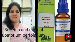 part1 Benefits and uses of Eupatorium perfolatium 20030 [upl. by Renba]