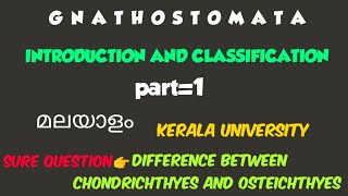 BSC ZOOLOGYMODULE2GNATHOSTOMATAPISCESINTRODUCTION AND CLASSIFICATIONPART1kerala university [upl. by Reinold]