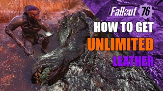 FALLOUT 76  UNLIMITED LEATHER FARMING FOR LOW AND HIGH LEVELS [upl. by Gibeon]