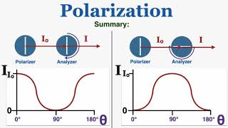 Polarization of Light and Maluss Law  IB Physics [upl. by Ttelracs]