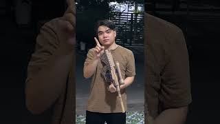 AUG cardboard model vs Barrett M82 cardboard model papercraft diy [upl. by Acirederf]