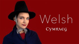 About the Welsh language [upl. by Aleece]