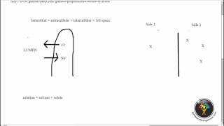 ACER GAMSAT Practice Questions Biology RedOrange Booklet Unit 3 Questions 9 to 11 [upl. by Soigroeg]