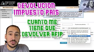 Devolucion Impuesto Pais Cuanto me tiene que devolver la AFIP [upl. by Rellia]