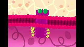 Cancer cell SignalsPi3k Pathway [upl. by Tteltrab]