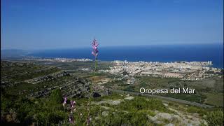 Oropesa del Mar Castellon Spanien [upl. by Lyj]