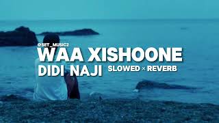 WAA XISHOONE  DIDI NAJI × SLOWED × REVERB  SETMUSIC2 [upl. by Marleen]