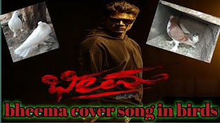 l love you kane cover songbheema bird cover song bheema lloveyoukane vijaykumar duniyavijay [upl. by Kilbride]