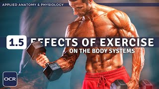 OCR GCSE PE  EFFECTS OF EXERCISE Short Term amp Long Term  Applied Anatomy amp Physiology 15 [upl. by Sibel370]