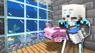 Building an Axolotl Aquarium  Minecraft 117 Update [upl. by Amle]