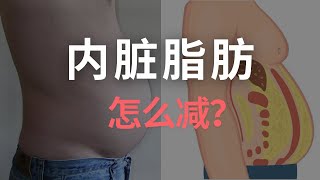 内脏脂肪怎么减最有效？啤酒肚是怎么形成的？什么运动对腹部肥胖最有效？ [upl. by Fishbein68]