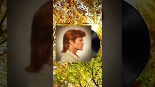 quotMy Mulletquot drops Oct 4th [upl. by Nylazor753]