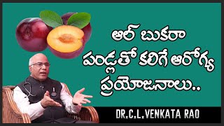 Albakara Fruit Benefits  Dr CL Venkata Rao  Shri Tv Doctor [upl. by Kcirdef]