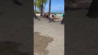 Honolulu Waikiki beach this summer with the tourist highlight [upl. by Elset]