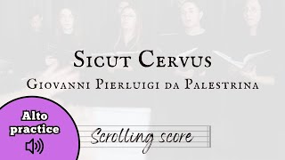 Sicut Cervus  Palestrina  Alto practice with score [upl. by Kapor780]