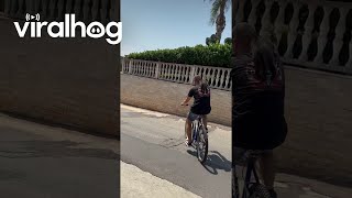 Man Takes Cat On Bicycle Rides  ViralHog [upl. by Idnac]